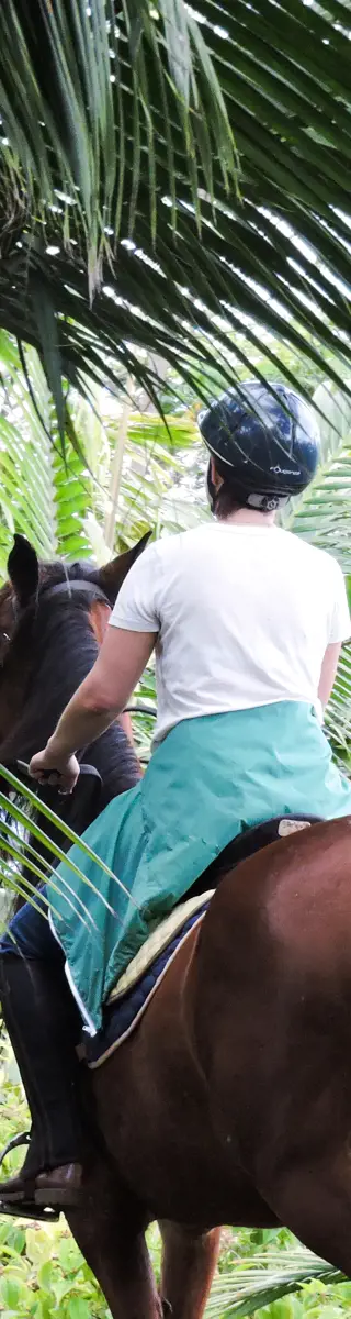 Einzelne Reise – Single Short